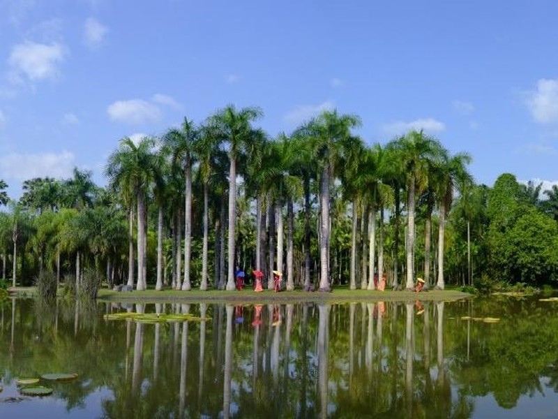 中国科学院西双版纳热带植物园_云南中国科学