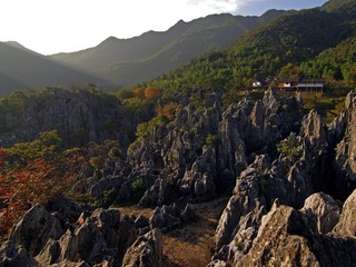 千岛湖石林