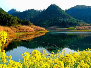千岛湖西南湖区（龙川湾）