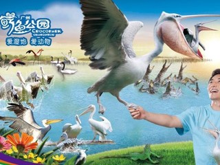 长隆广州鳄鱼公园