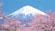 [金泽-京都-大阪-东京-富山8日游]2天纯自由活动