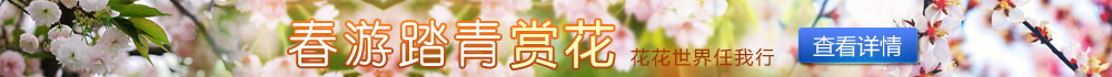 赏花