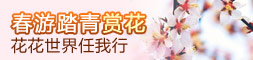 赏花