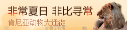 动物大迁徙