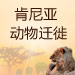 动物大迁徙