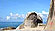 [海南双飞5日]