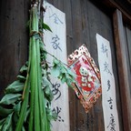 悬艾叶菖蒲