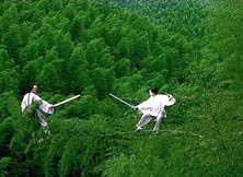 卧虎藏龙