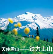 铁力士山